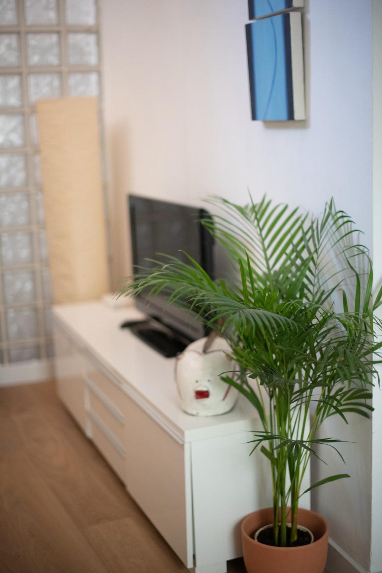 Cozy & Quiet Apartment In The Center Málaga Esterno foto